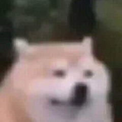 ghé qua speed up