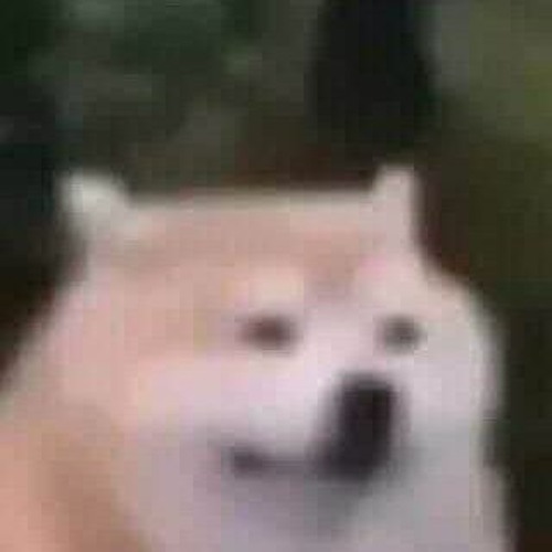 ghé qua speed up
