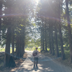 Sunshine