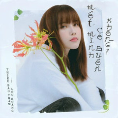 Thiều Bảo Trâm - Một Mình Có Buồn Không | Vì em đã khóc từ lần yêu đầu tiên - AHNAW Remix