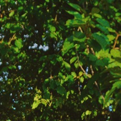 waltz for the leaves.