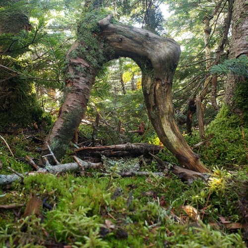 One (Original Mix)