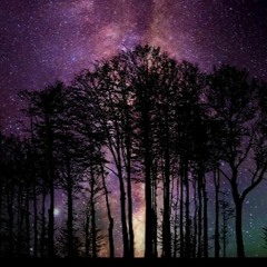 'I Saw Them Through The Pines They Only Walk On Moss' - Solanaceae