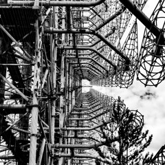 Російський Дятел