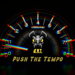 A.N.T - Push The Tempo
