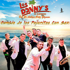 Cumbia de los Pajaritos Con Sax A Gozar