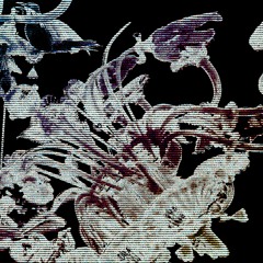 [␠ ﾒ 𝙎𝙏𝘼𝙏𝙄𝘾𝘾𝘼]－𝙎𝙚𝙣𝙤𝙡𝙮𝙩𝙞𝙘