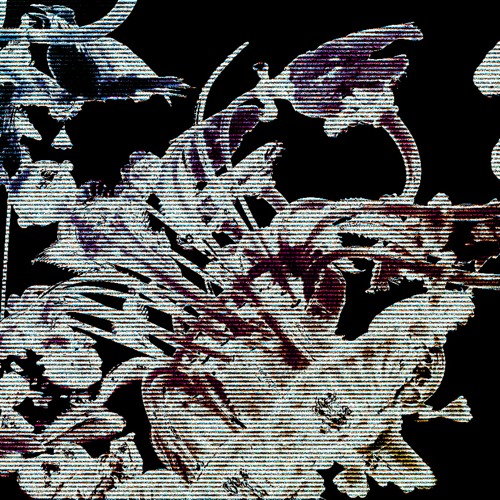 [␠ ﾒ 𝙎𝙏𝘼𝙏𝙄𝘾𝘾𝘼]－𝙎𝙚𝙣𝙤𝙡𝙮𝙩𝙞𝙘