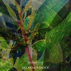 highfrequency