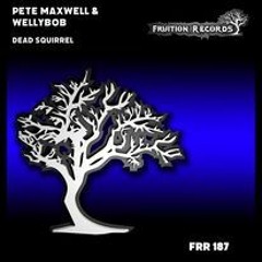 Pete Maxwell & Wellybob - Dead Squirrel