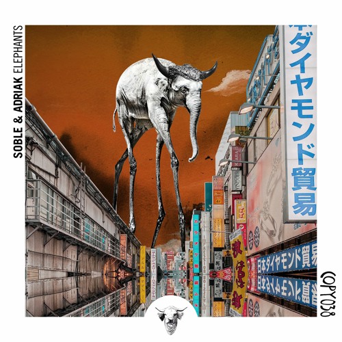 COPY038 Soble & Adriak ~ Senderos (Timboletti Remix)