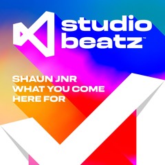 SHAUN JNR - WHAT YOU COME HERE FOR - FREE DOWNLOAD