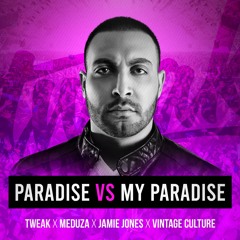 Paradise vs My Paradise (Tweak Exclusive VIP Edit) * Pitched and Filtered for Copyright *