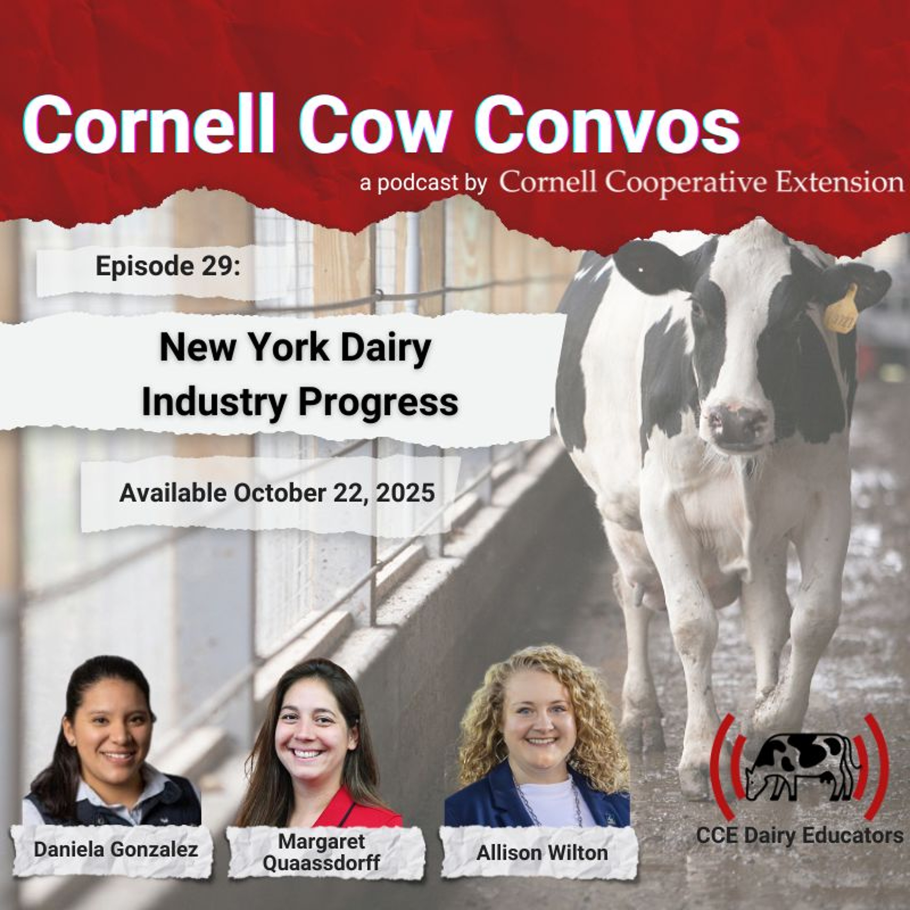 Cornell Cow Convos E29 New York Dairy Industry Progress episode artwork