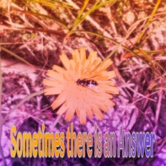 Sometimes there is an Answer
