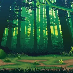 Forest Jog