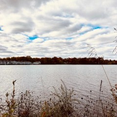 The Last November On Earth