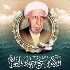 الشيخ الدكتور أحمد الوائلي - 1