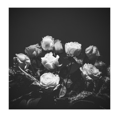 Black Roses