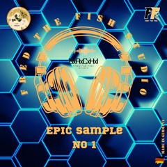 EPIC MIX No (1)