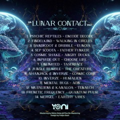 05 - Cosmic Shake - Angry Ducks