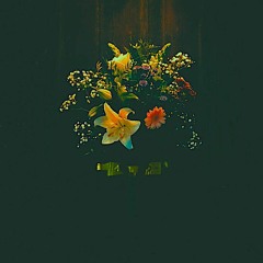 LASTELLE - COPING WITHOUT A CURE (SLATE REMIX)