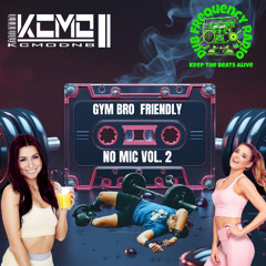 GYM BRO FRIENDLY - NO MIC VOL. 2
