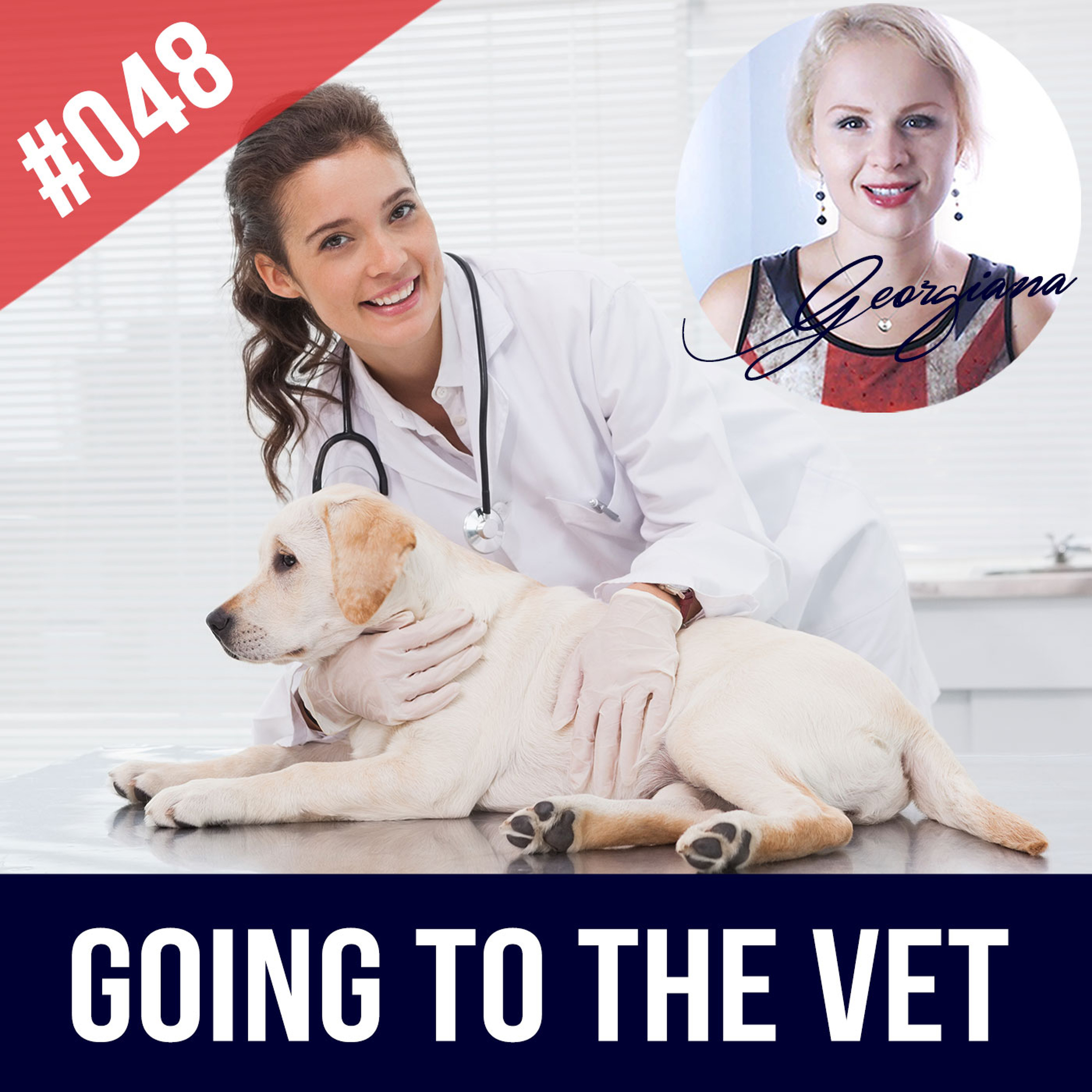 #048 How to talk about Animals (Pets) in English episode artwork
