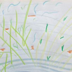 Current of the Poles