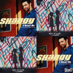 It Wasn't Me (Shaggy x Kygo) [bken13 Mashup]