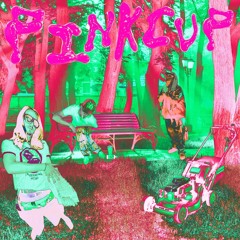 Pink Cup  |prod Rotten G x 057litfroy‬