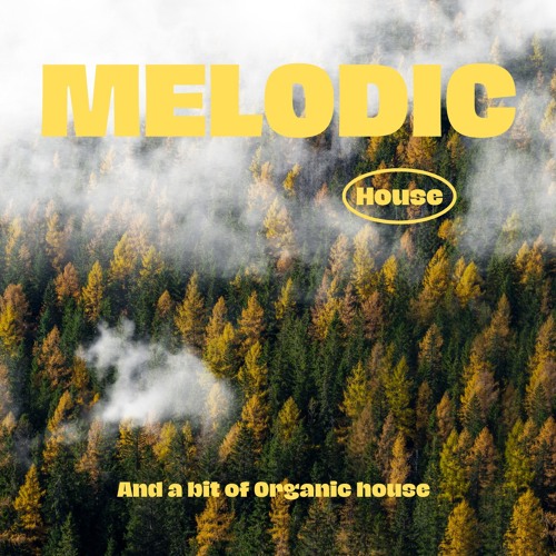 Melodic and Organic House #1
