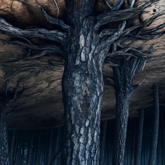 ARBOTRAGE (FREE)