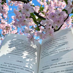 images 画像  𝅄 ꣑ৎ ࣪ㅤ𓈒  Prod. zannn