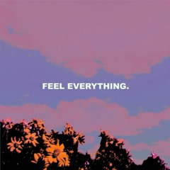 Feel Everything