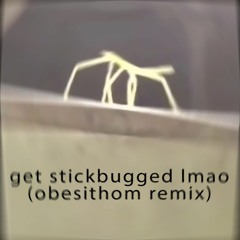get stickbugged lmao (obesithom remix)