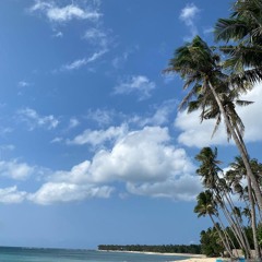 Search me o God and know my heart (Psalms 139:23-24,14)