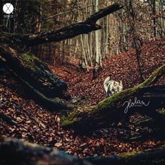 Dleeb & AhZ - Holan (Running In Křivoklátský Lesy Remix By Lucida)