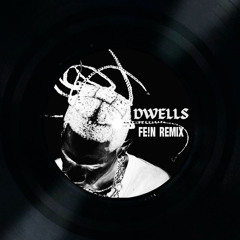 FE!N (Dwells Remix)