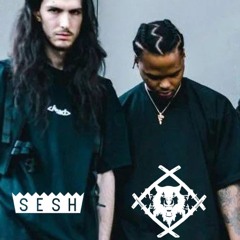 teamsesh x hollowsquad