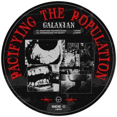 C2. Experiencing The Object