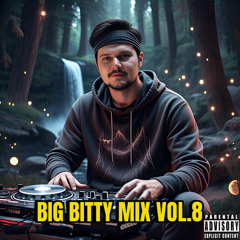 BigBITTYmix  vol.8