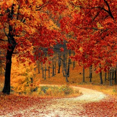 FALL TREES - TYPE BEAT - BVNKS