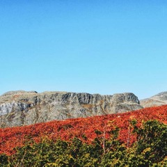 HK_Free_Dance_Sets_87