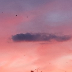 Overdreamer