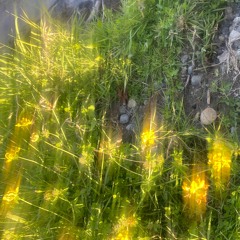 goodbye_w / cam szn (prod. noria)