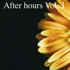 After hours Vol.1