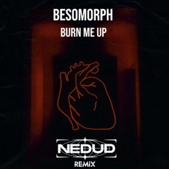 Besomorph & Paradigm - Burn Me Up (feat. Noubya) [Nedud Remix]