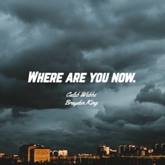 where are you now ( Cozys x brayden king bootleg )*Click 'more' for FREE DL*