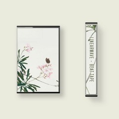 Linearwave - beat tape [Beattape & Cassette]